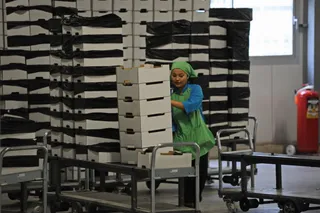 Фото: Владимир Третьяков