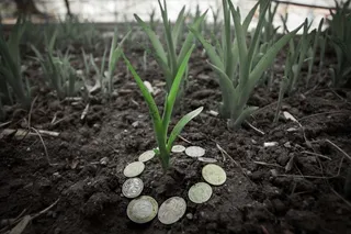 Капитал - В Семее на аукцион выставлены 15 земельных участков