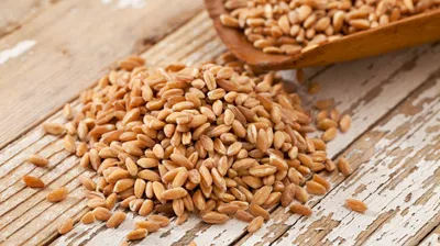 Business Wisdom Summit