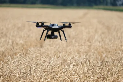 Фото: Владимир Третьяков