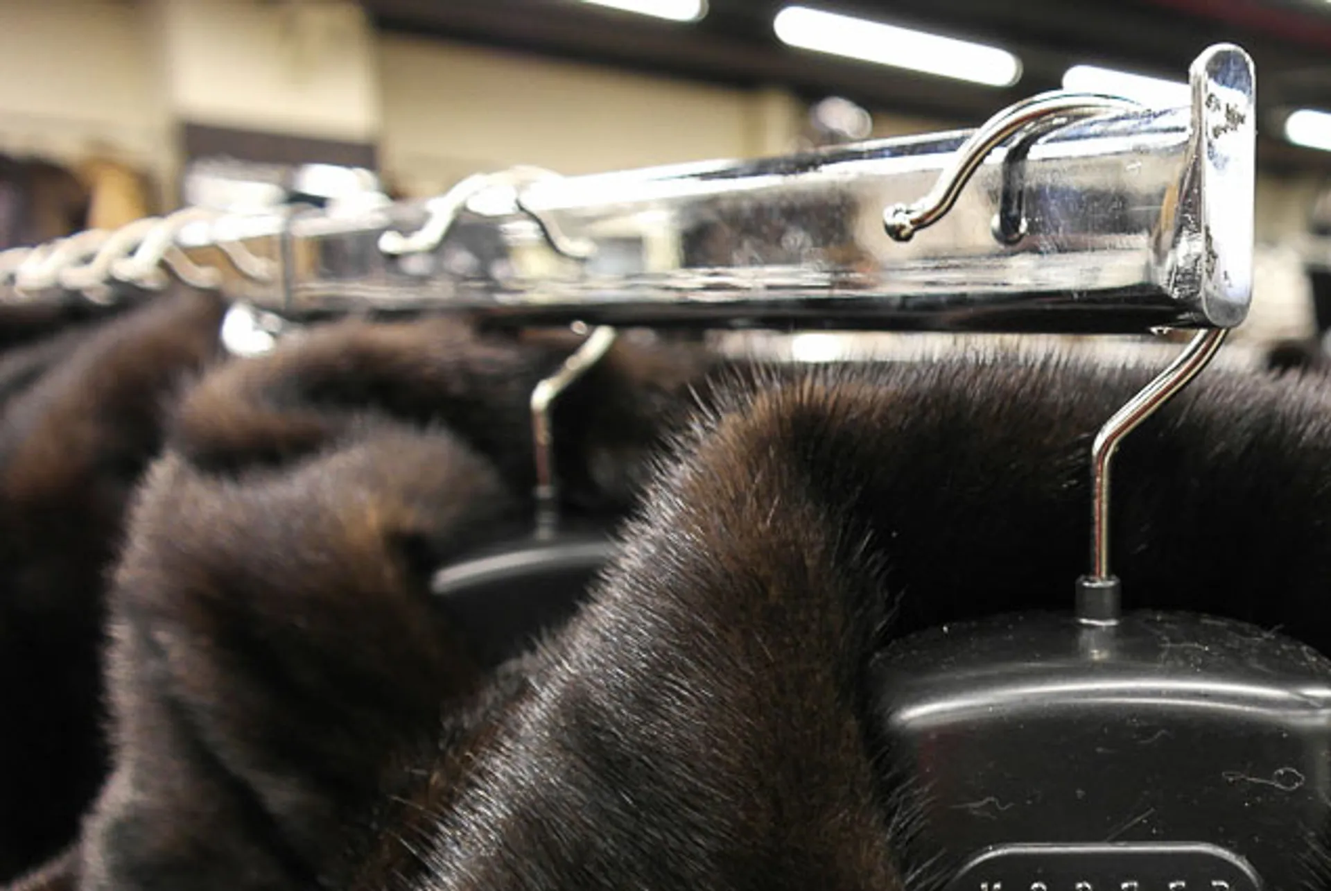 Капитал - Лидеры индустрии моды оштрафованы за нелегальный импорт