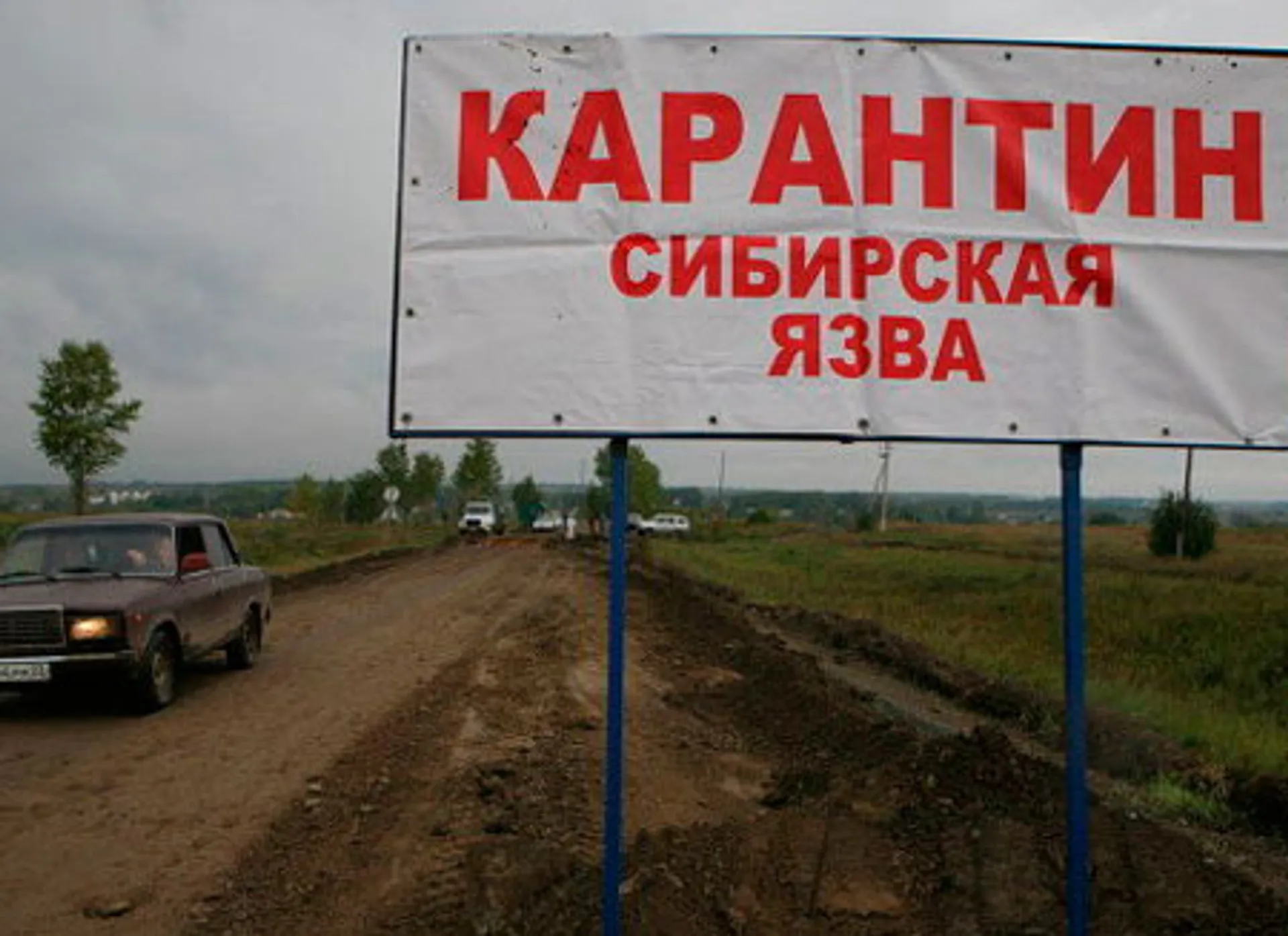 Капитал - В Кыргызстане вспышка сибирской язвы