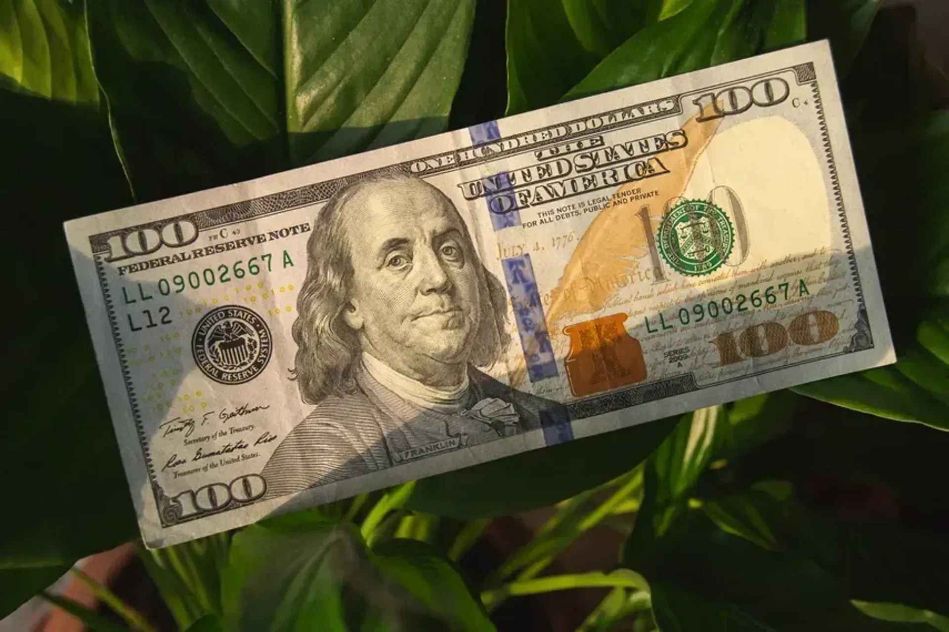 Капитал - Anthropic $25 млрд тартуды көздейді