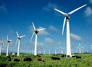 Капитал - Использование возобновляемых источников энергии намерены расширять