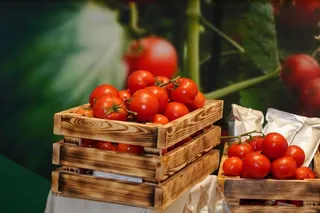 Фото: МСХ РК