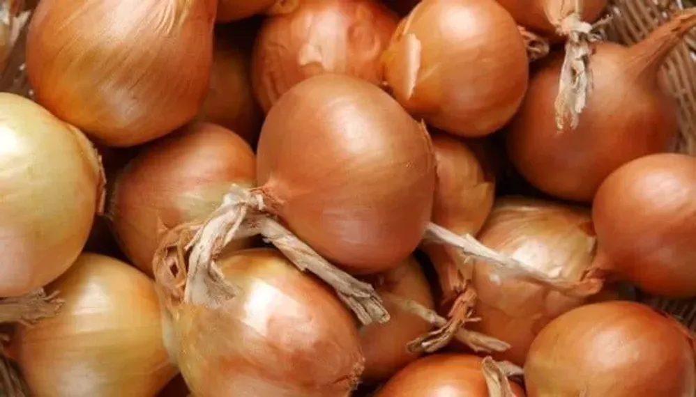 Фото: east-fruit.com