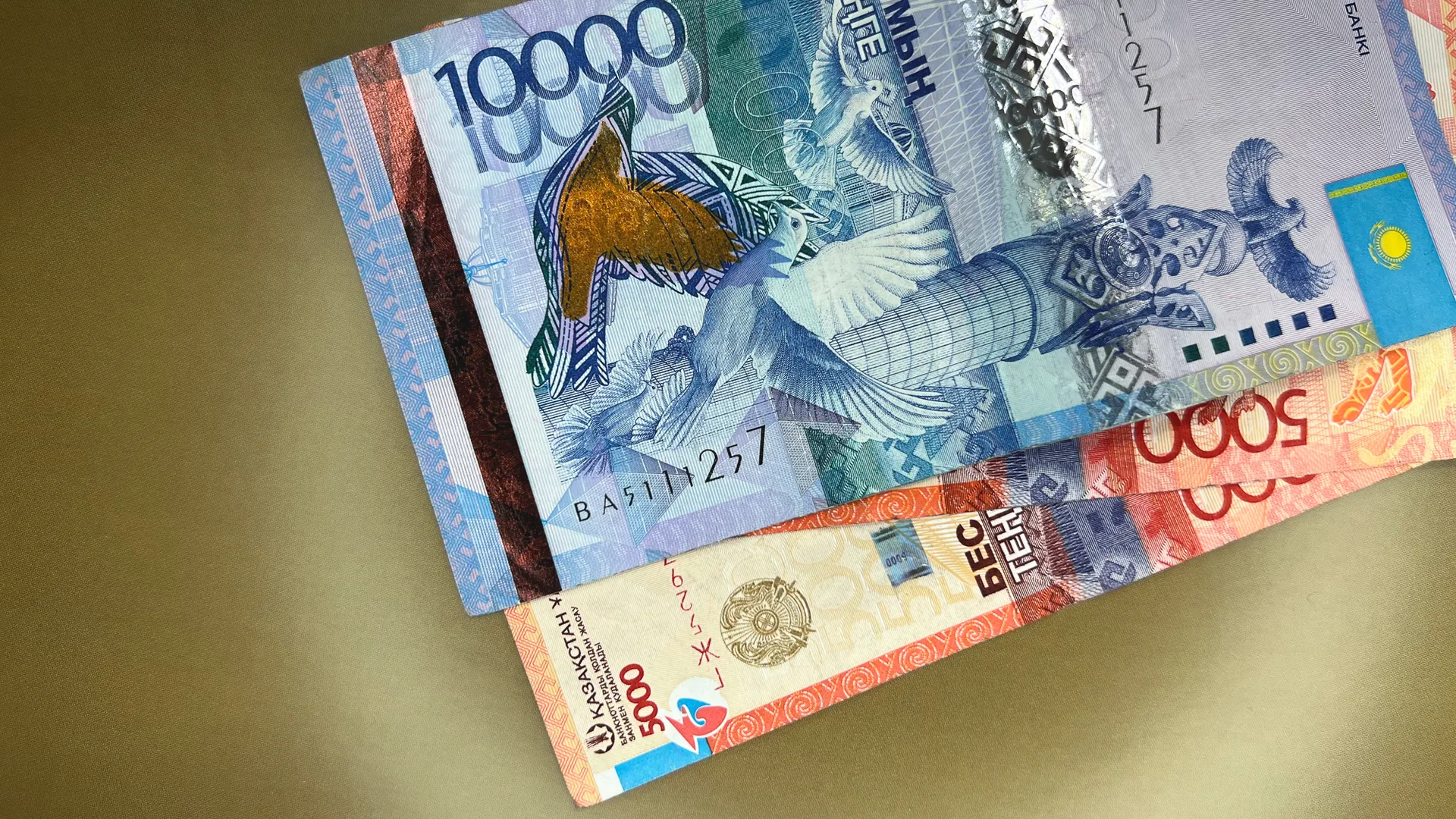 Фото: Валерия Змейкова