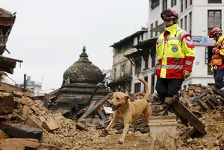 Капитал - В Непале количество погибших превысило 5,5 тыс. человек