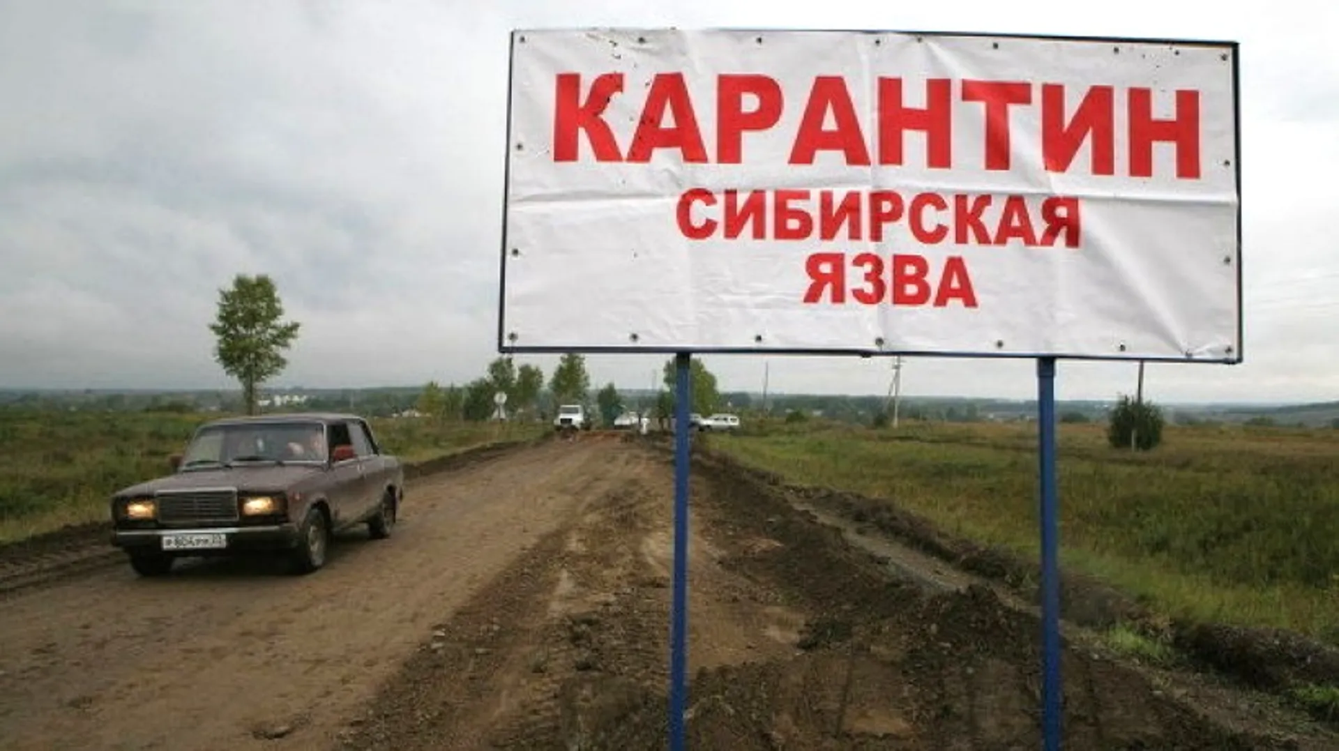 Капитал - На зимовке в Карагандинской области объявлен карантин