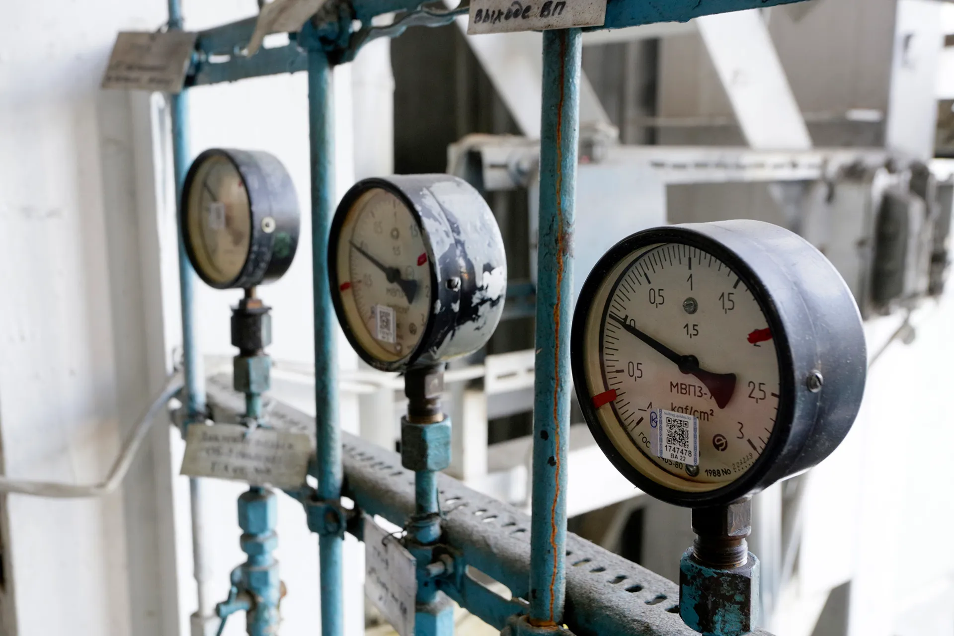 Фото: Руслан Пряников