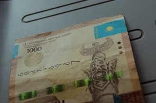 Фото: Валерия Змейкова