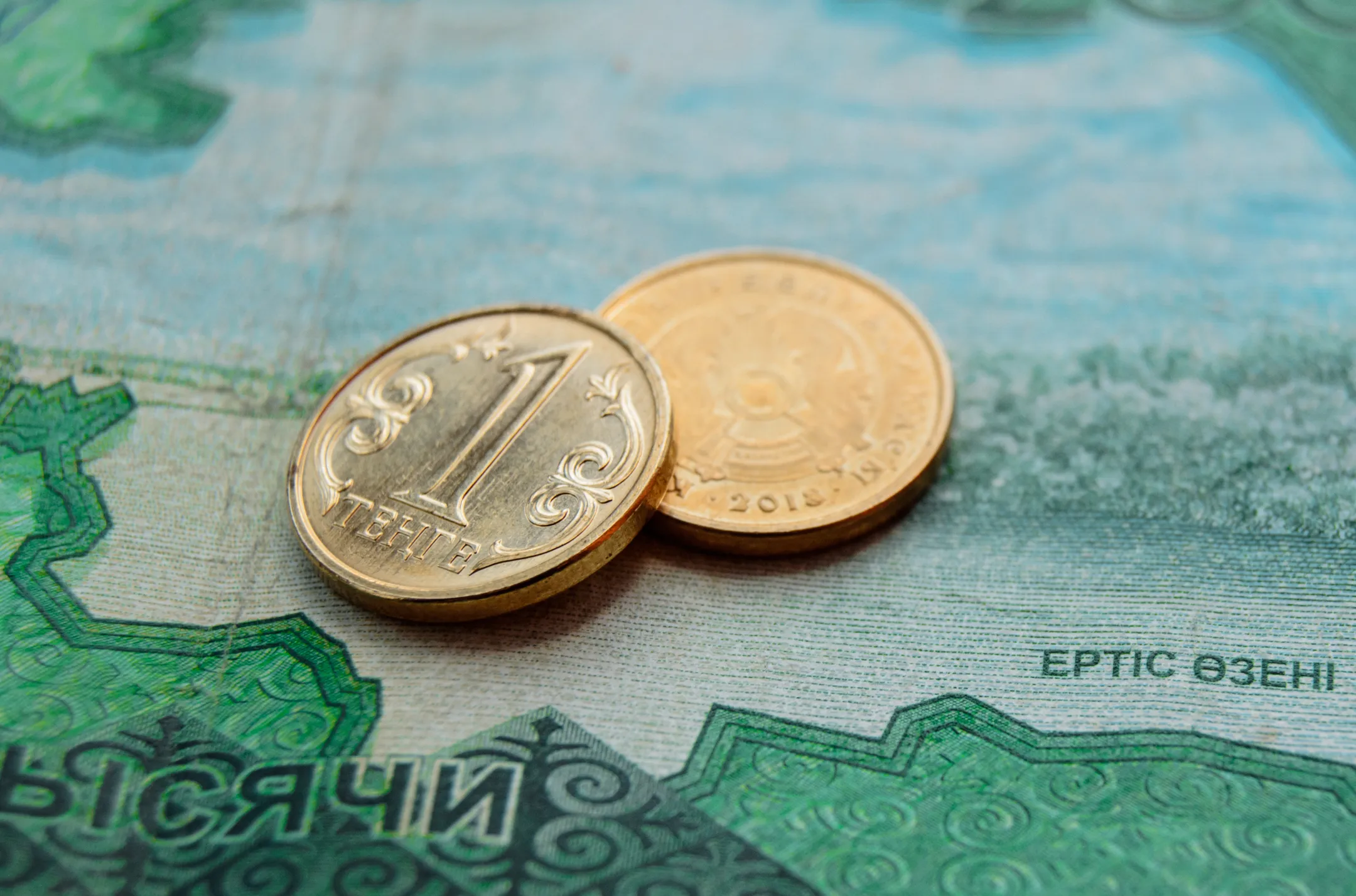 Фото: Валерия Змейкова