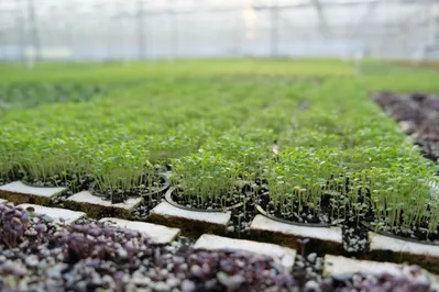 Фото: Владимир Третьяков