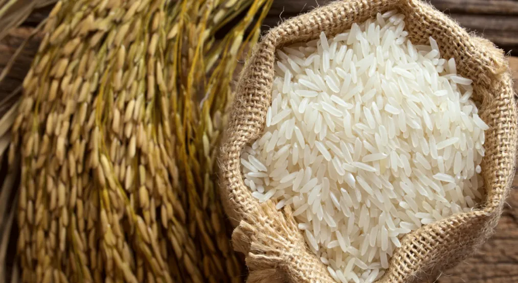 Фото: Агентство по защите и развитию конкуренции РК 