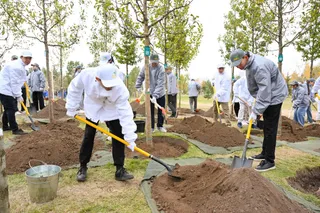 Фото: пресс-служба Акорды, архив