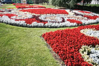 В Астане цветники заняли 160 тыс кв м
