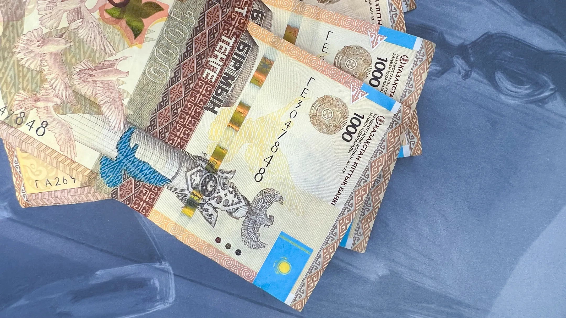 Фото: Валерия Змейкова