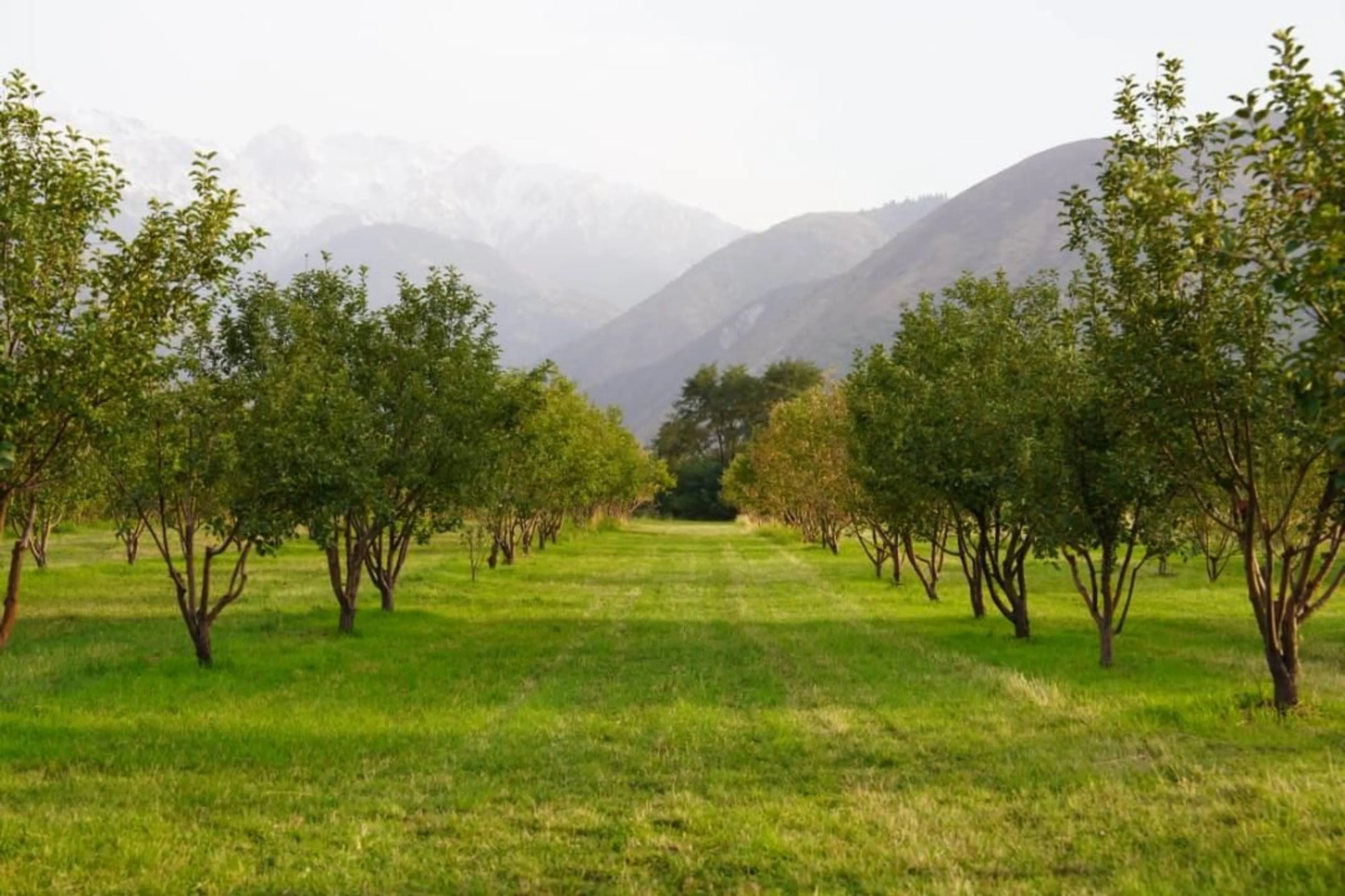 Фото: сайт министерства сельского хозяйства