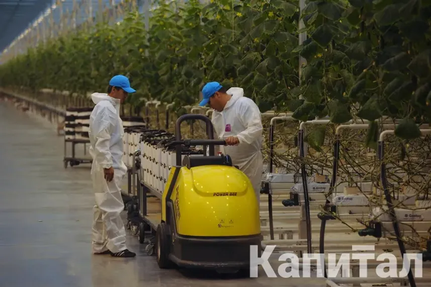 Фото: Владимир Третьяков