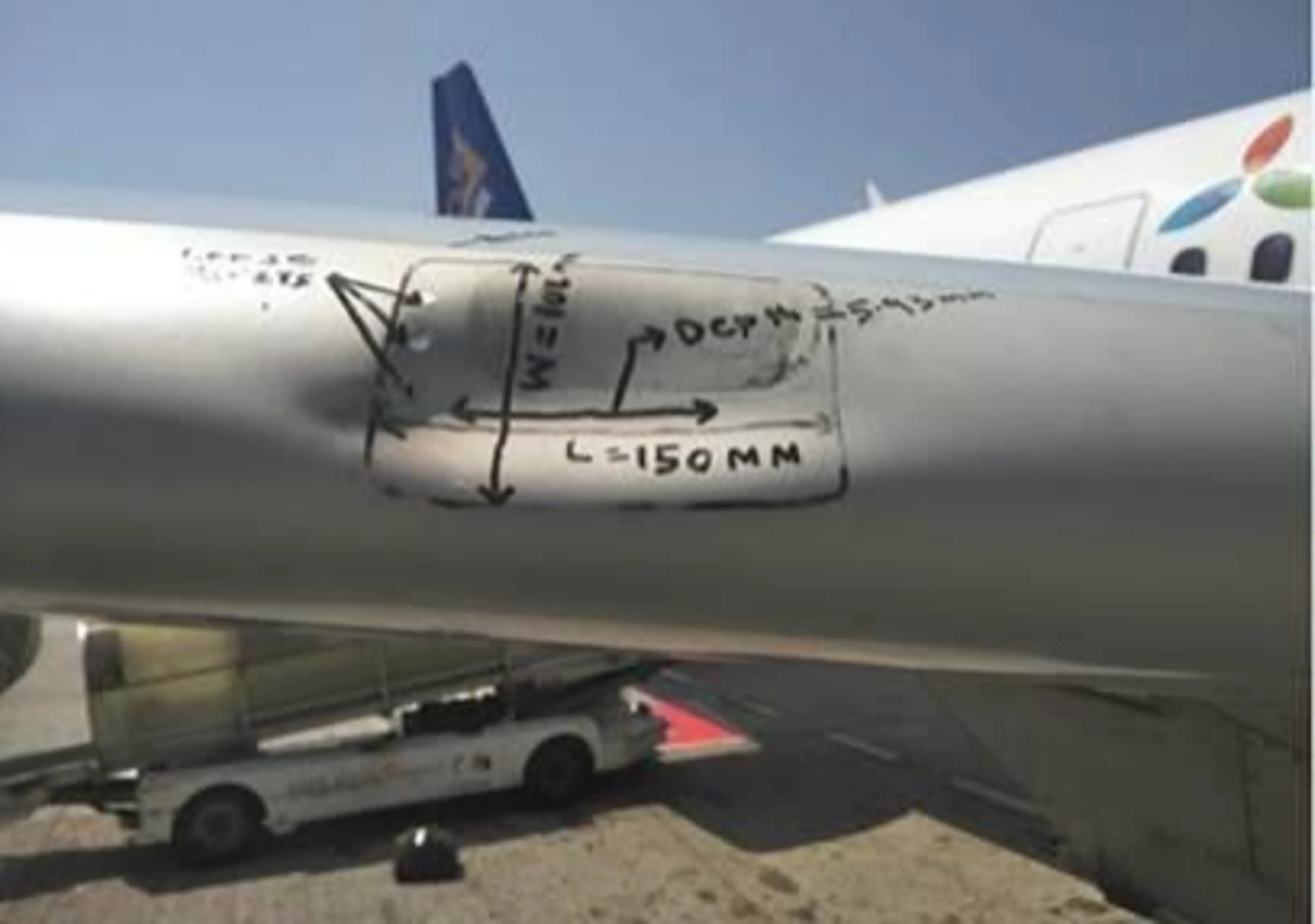 Капитал - «Эйр Астана»: безопасности полетов угрожают птицы