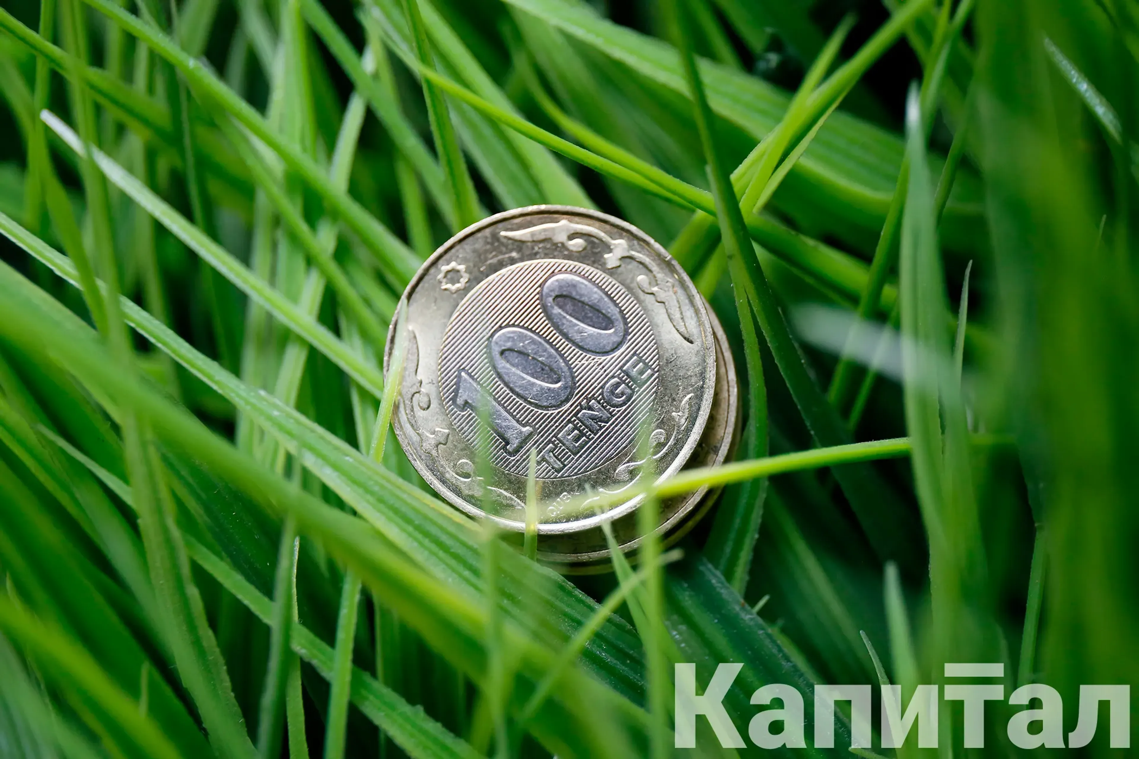 Капитал - Внесены изменения в указ о моратории на проверки бизнеса 2022-08-10