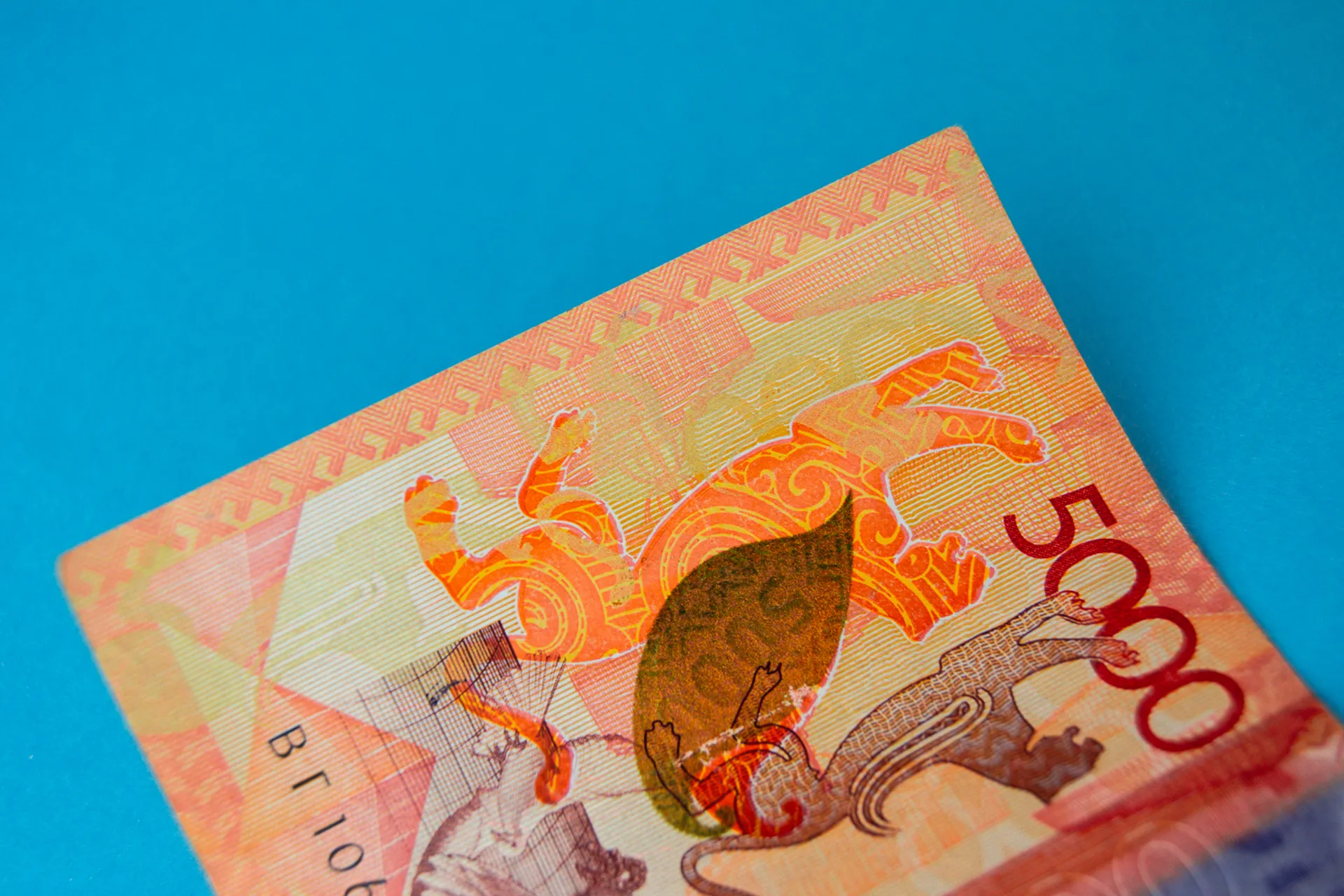 Фото: Валерия Змейкова