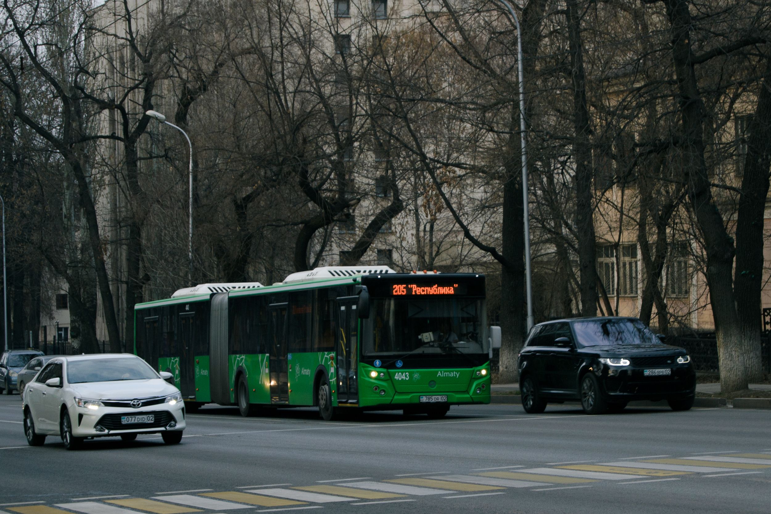 Фото: Валерия Змейкова