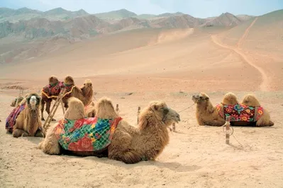 Казахстан будет участвовать в китайском проекте