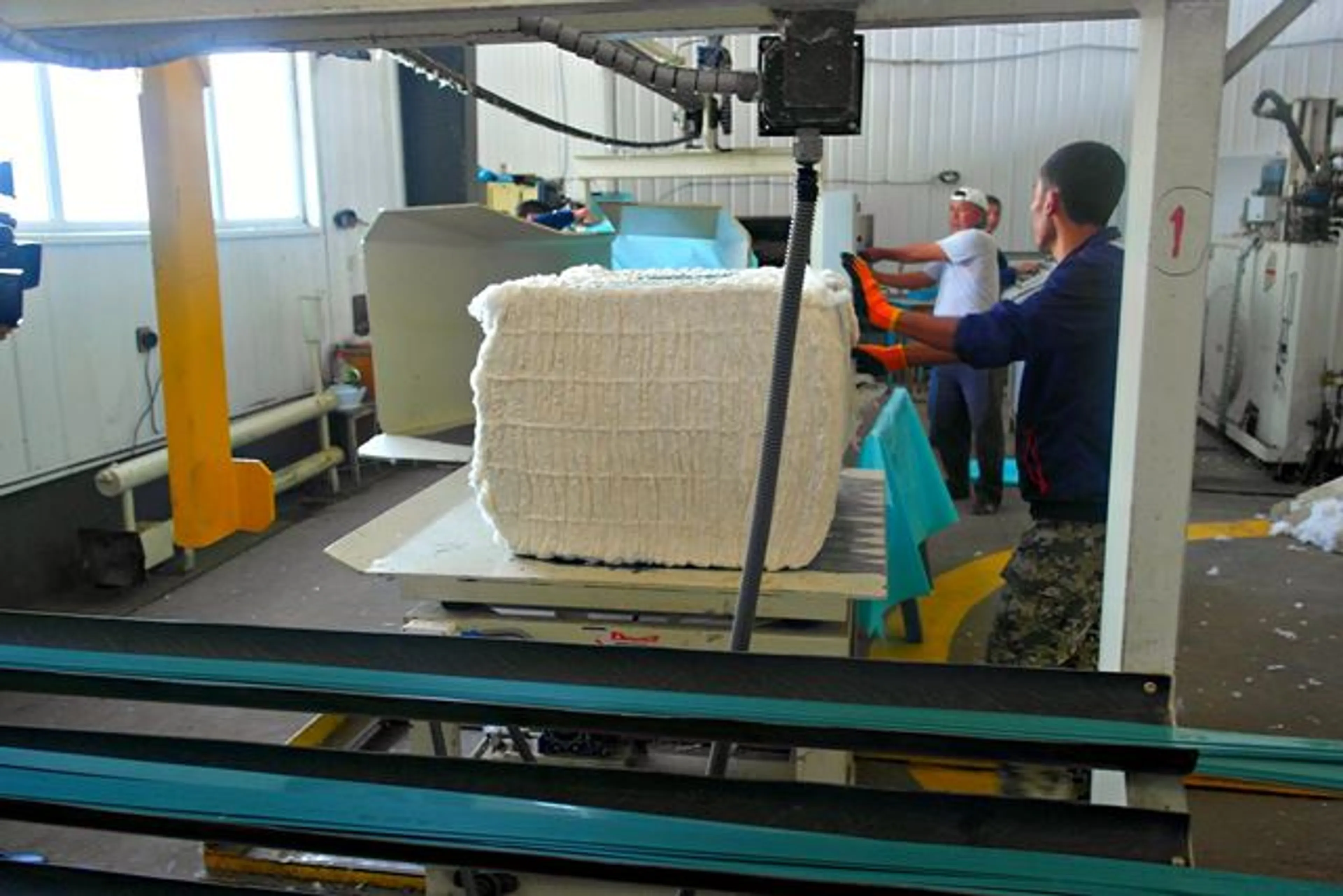 Капитал - Хлопковое волокно из ЮКО экспортируют в Чехию и Индию