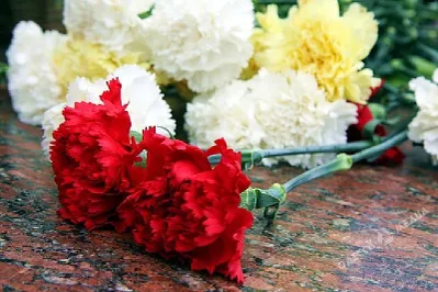 Руководство Казахстана возложило цветы к Вечному огню в Астане