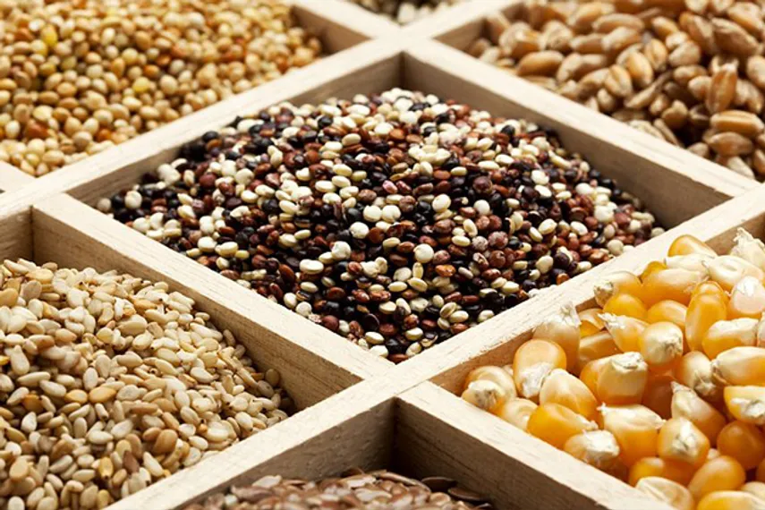 Капитал - Сверхдоходный бизнес на семенах