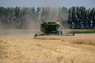 Капитал - Экспортный потенциал по зерну в Казахстане снижен до 6-7 млн тонн