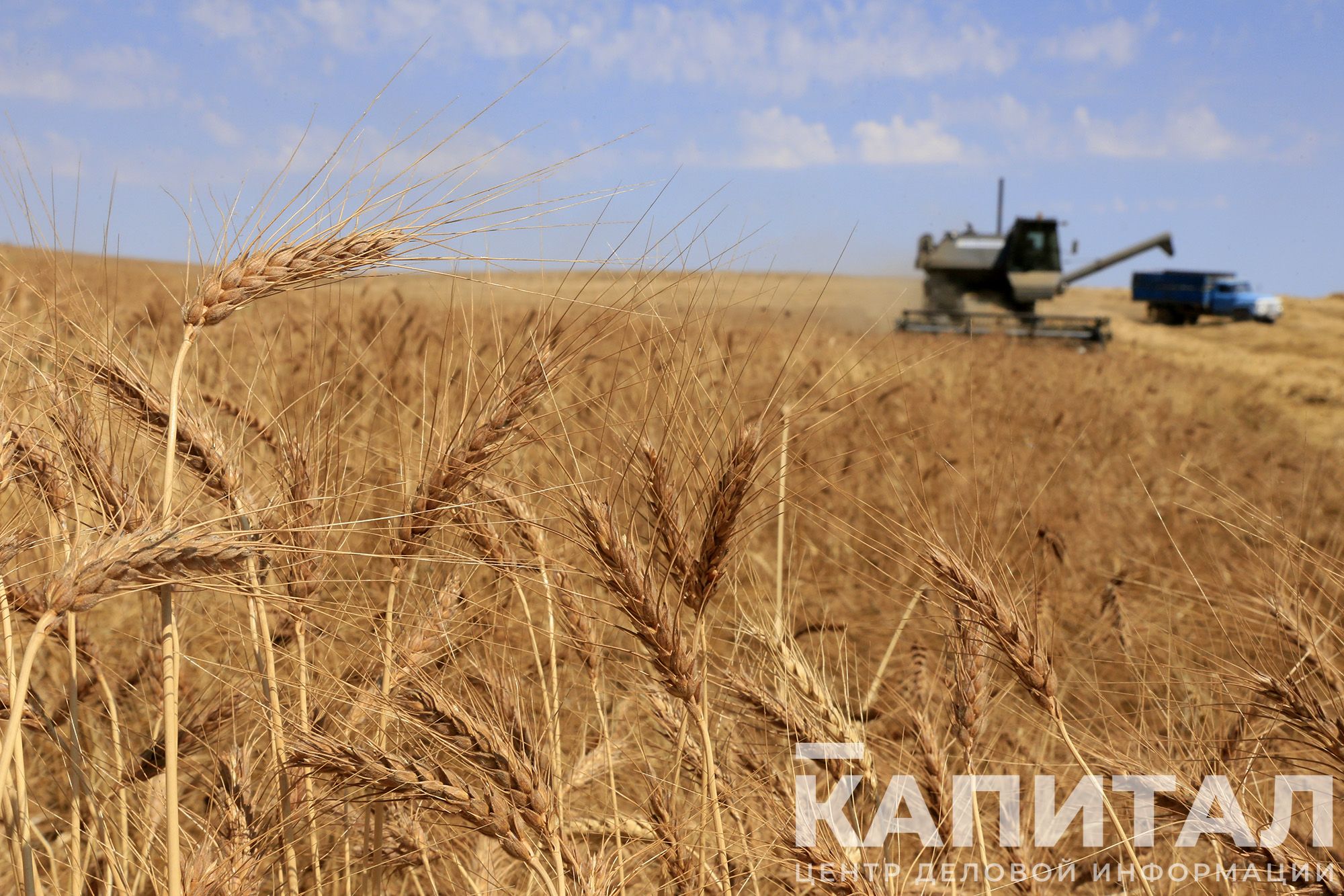 Фото: Руслан Пряников