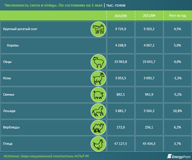 Производство куриных яиц выросло на 12,1% за год 1398292 - Kapital.kz 