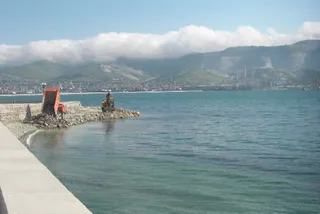 Капитал - На укрепление русла Сырдарьи потребуется 2,4 млрд тенге