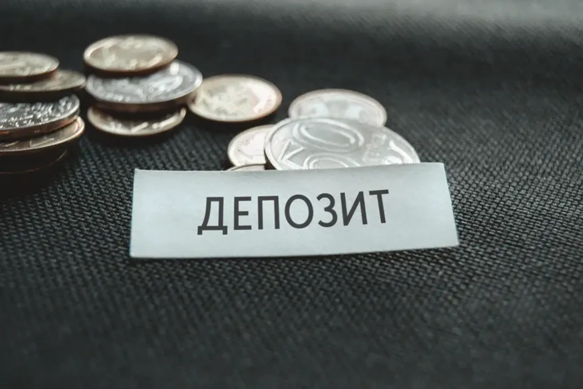 Фото: Валерия Змейкова