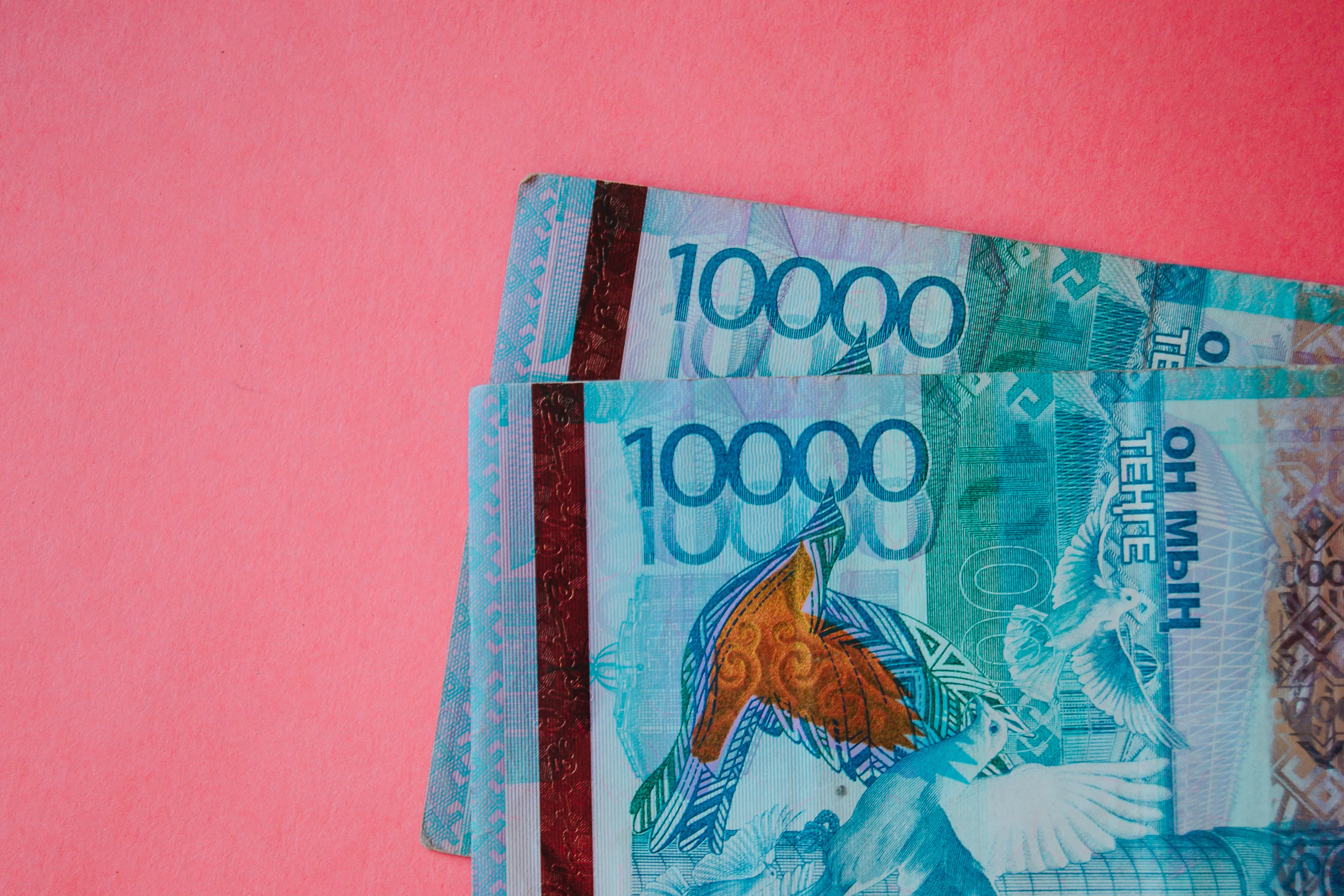 Фото: Валерия Змейкова 