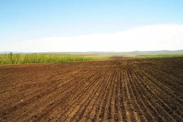 Фото: AgroXXI