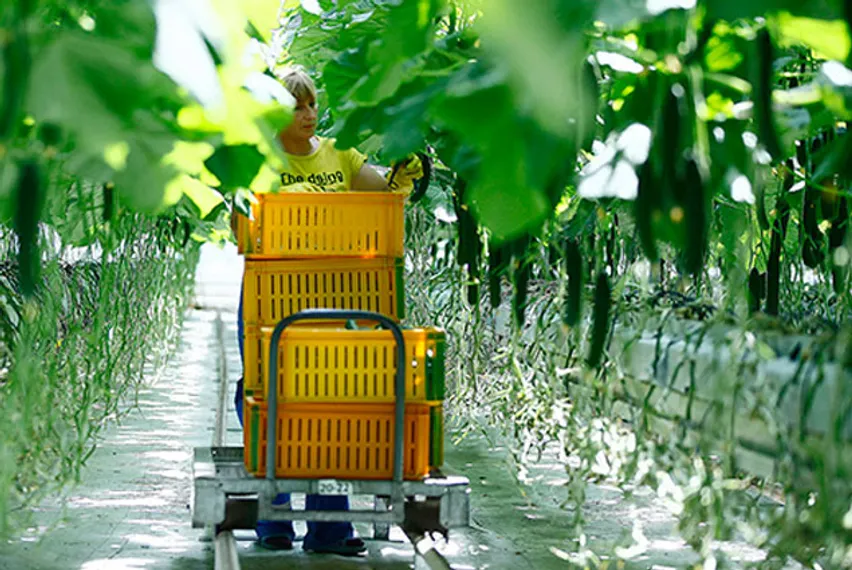 Капитал - В КазАгро введут KPI-технологии