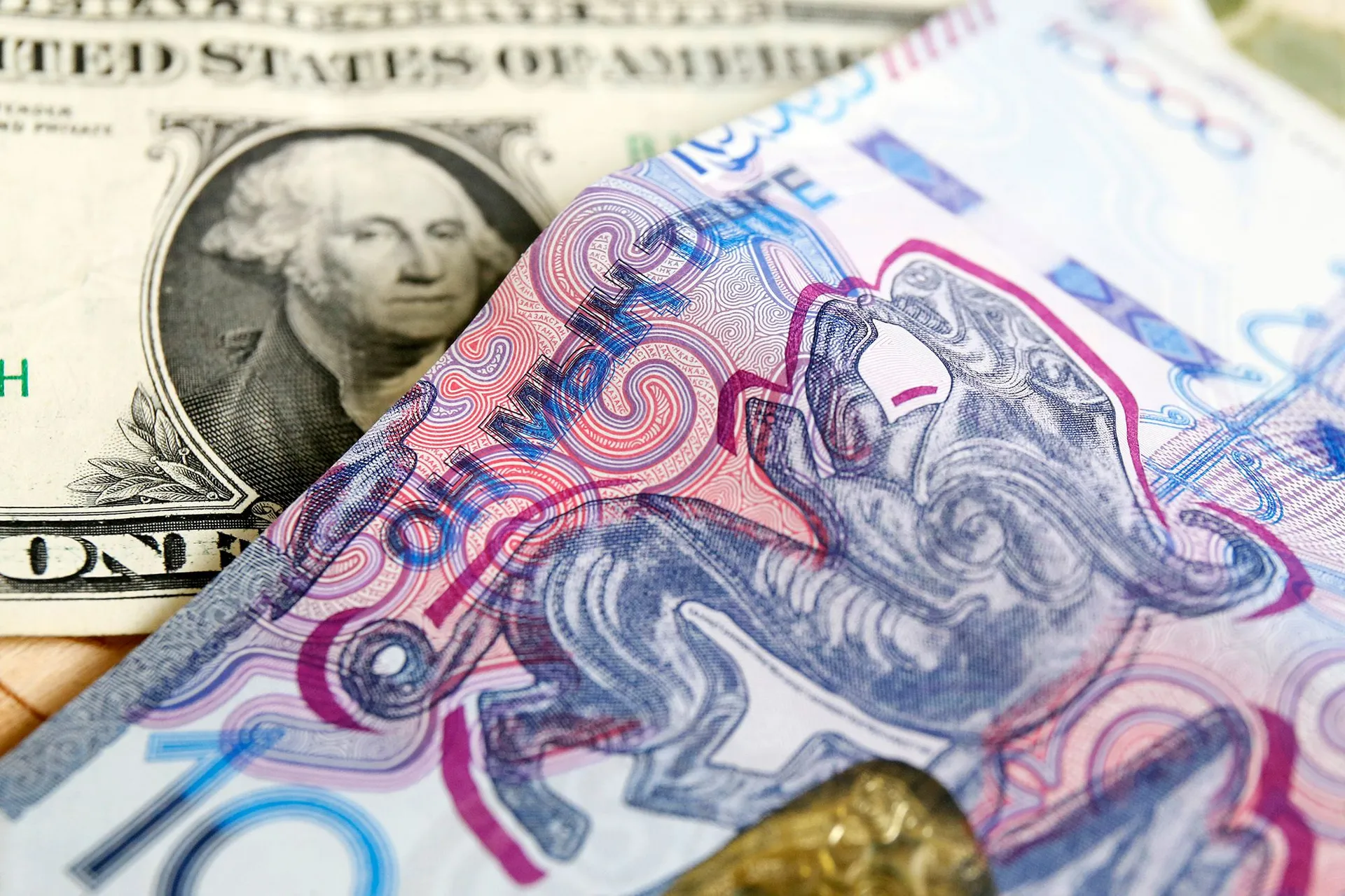 Фото: Руслан Пряников