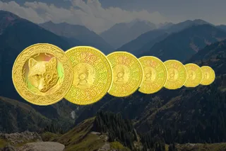 Капитал - Инвестиционные монеты KOKBÓRI презентовали на конференции в Берлине