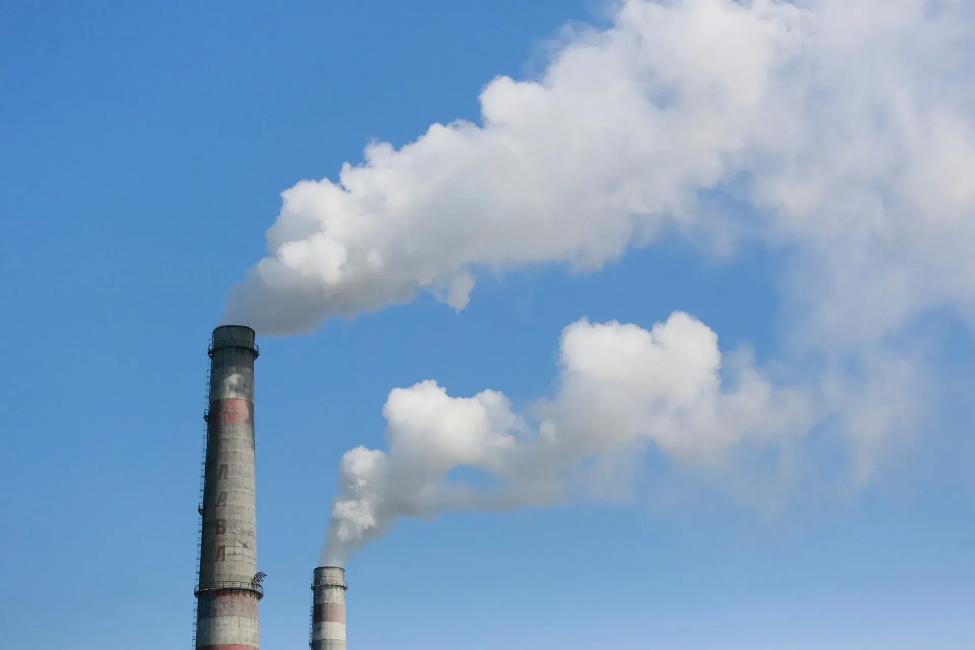 Фото: Руслан Пряников