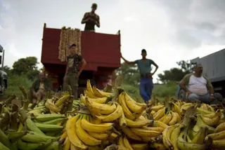 Капитал - В 2016 году торговый договор ЕС и Эквадора вступит в силу
