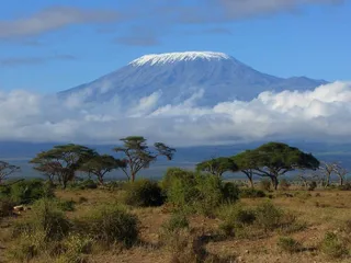 Капитал - Казахстанцев предупредили о вспышке полиомиелита