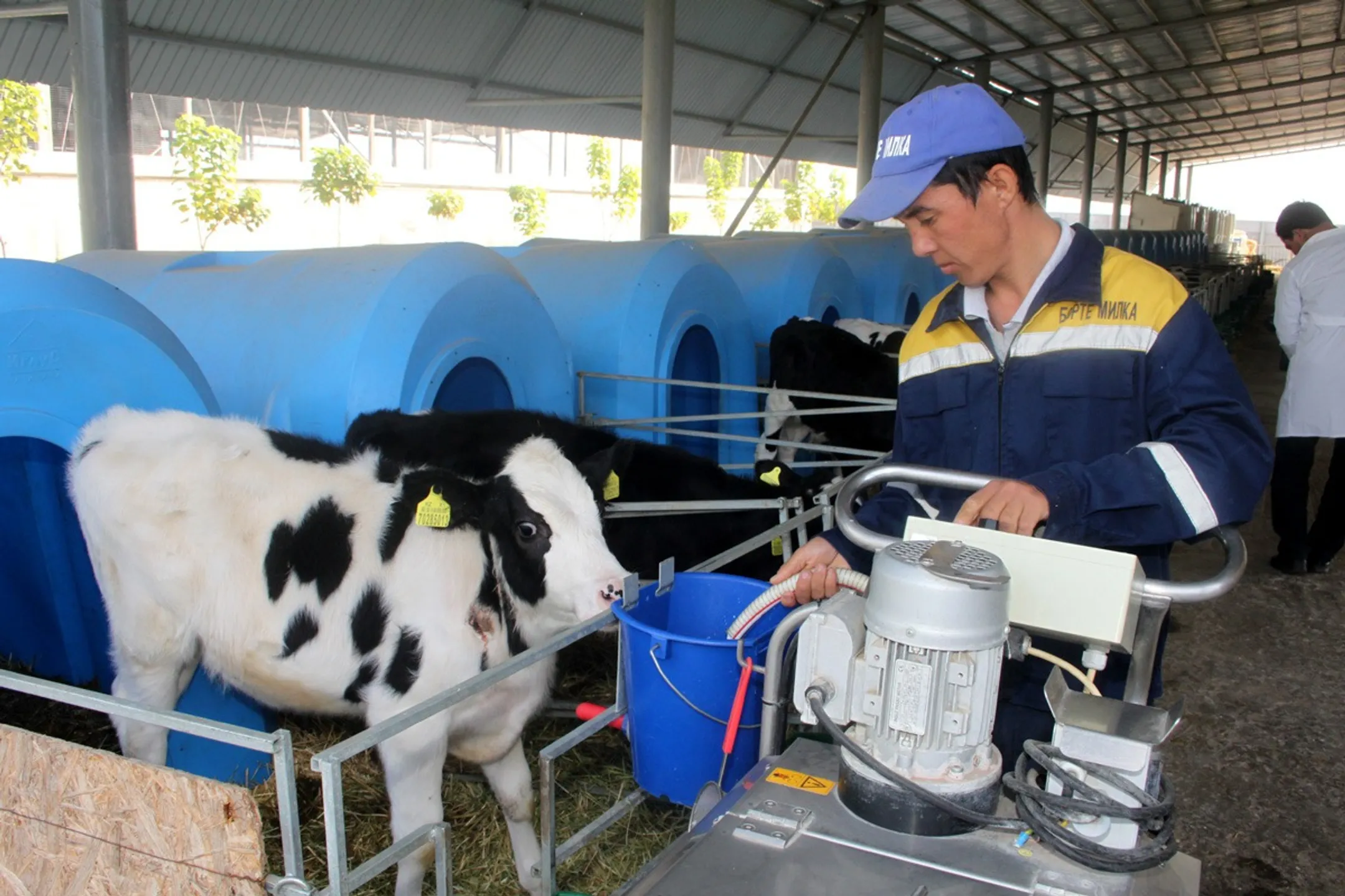 В Южном Казахстане появится новый молочный завод - Image Kapital.kz