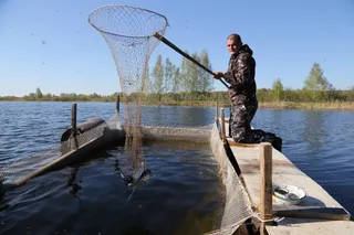 Капитал - В Северо-Казахстанской области разводят форель