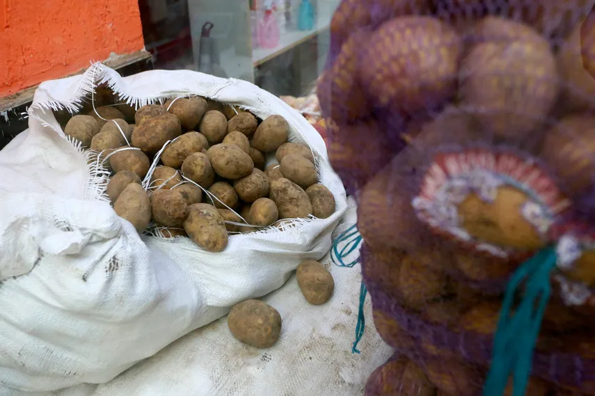 Фото: Руслан Пряников