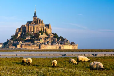 Участки по 1 евро за кв. метр начали продавать во Франции