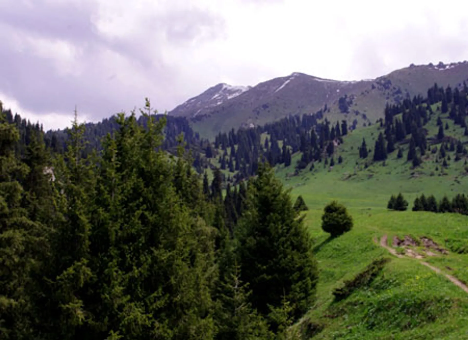 Капитал - Противостояние из-за Кок жайлау продолжается