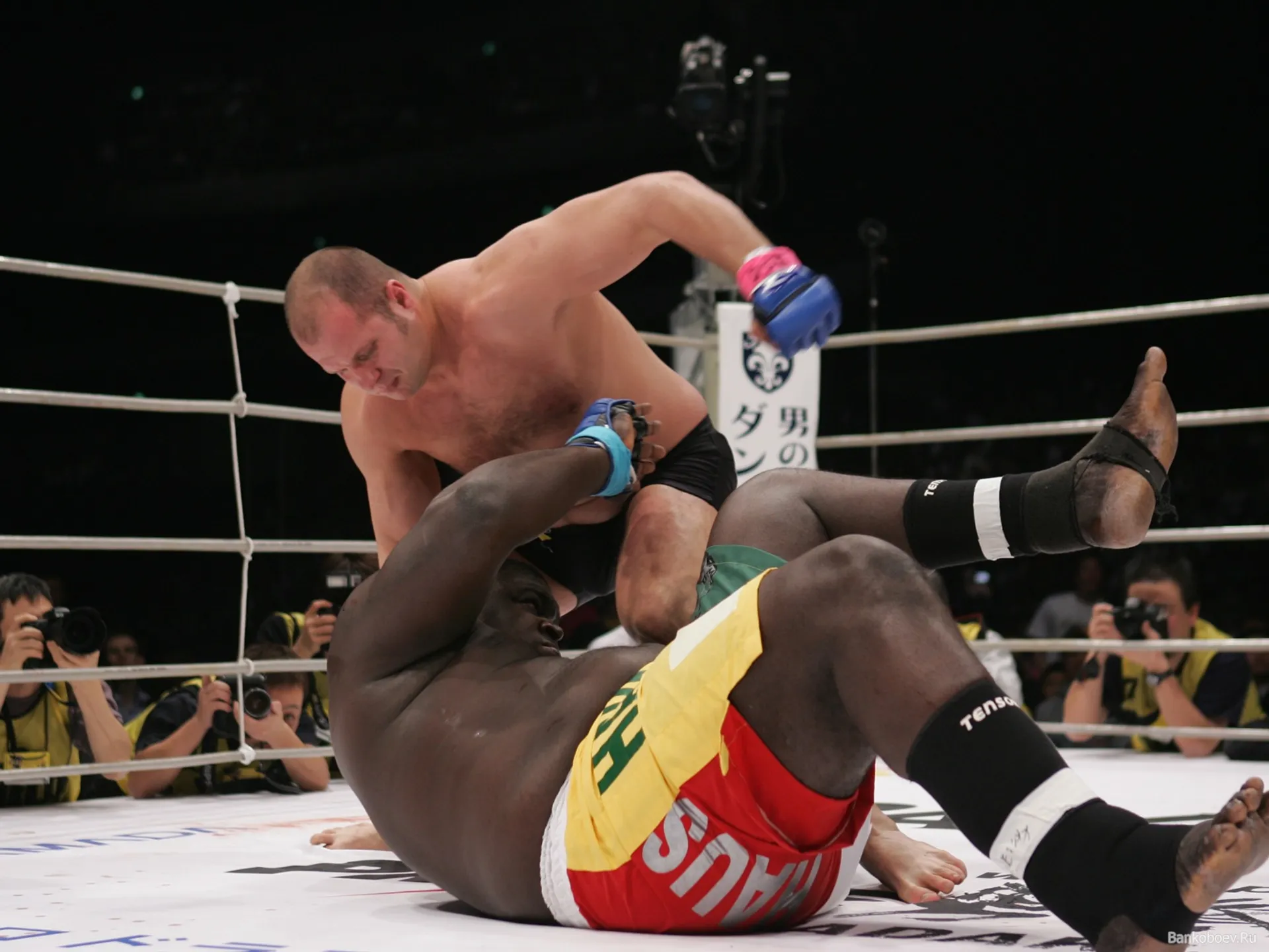 Капитал - Федора Емельяненко хотят вернуть на профессиональный ринг